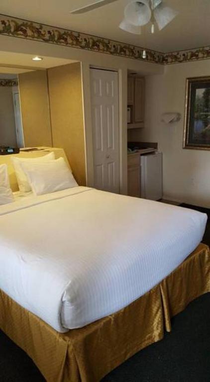 The Suites at Fall Creek - Estudio