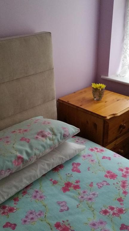 Foto de la galeria de Bridge View B&B a Kilkenny