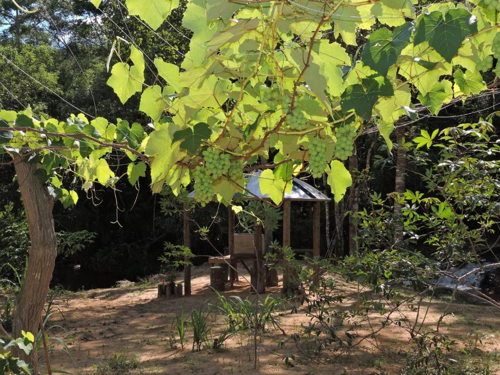  Sitio Da Cachoeirinha Paraju Domingos Martins