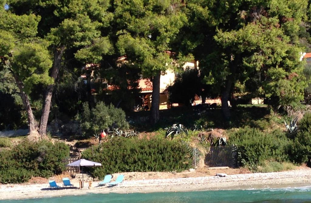 モラ・カリヴァにあるMola Kalyva Traditional Houseの椅子と傘と木々のあるビーチ