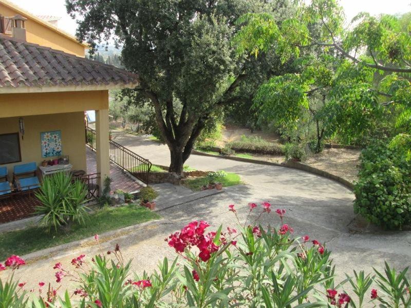 カポテッラにあるB&B Coldulivoの庭の花とベンチ付きの家