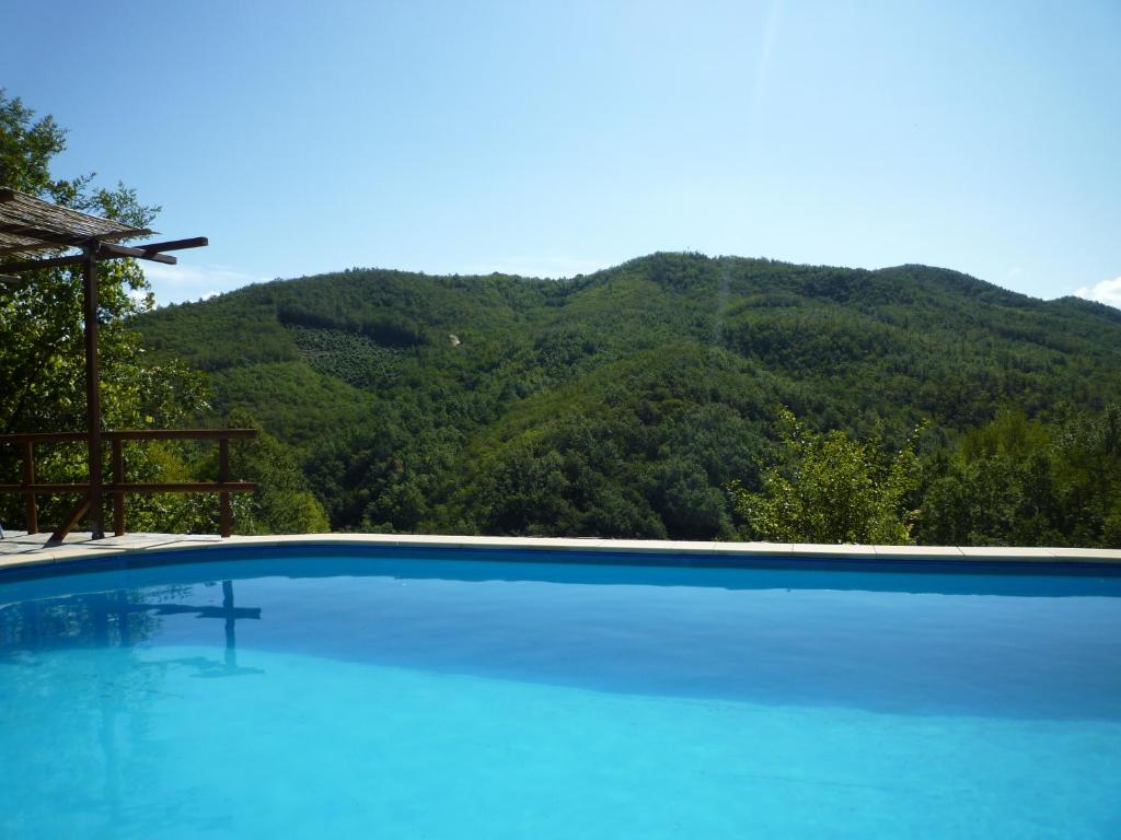 a large swimming pool with a mountain in the background at Fraseneggi in Maissana