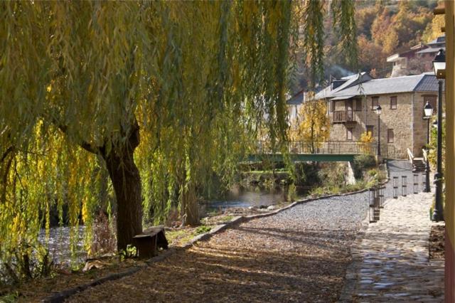 Un sauce llorón sentado junto a un río en Neverending Bierzo, en Pobladura de las Regueras