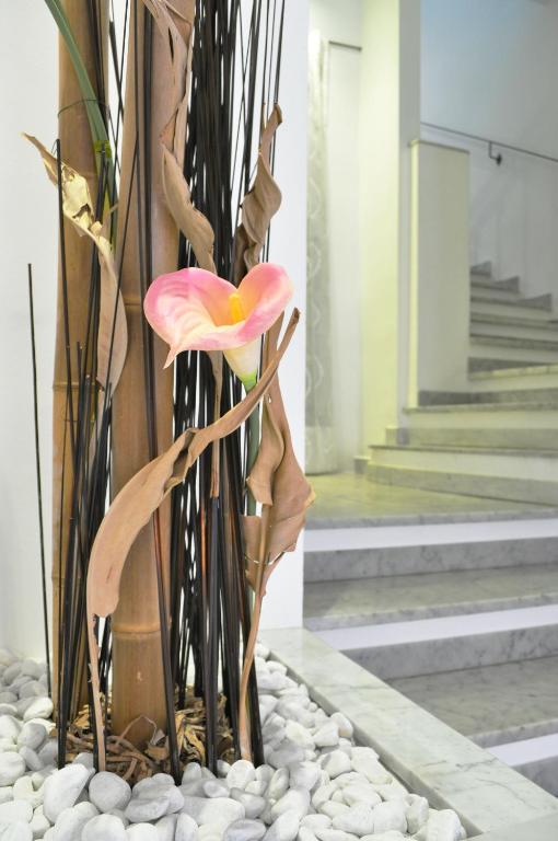 Hotel Nuovo Nord - Resim 23