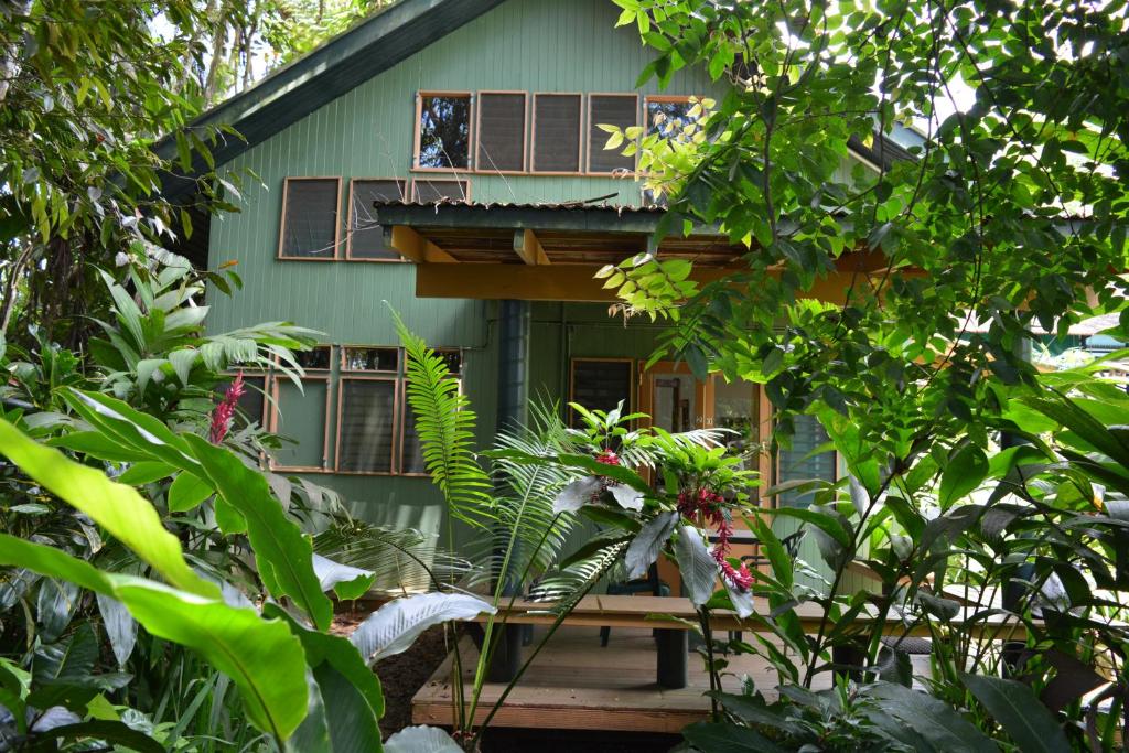 Zahrada ubytování Rainforest Eco Lodge
