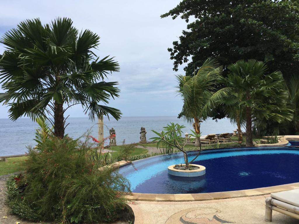 a swimming pool with palm trees and the ocean at Bali Dream House in Amed