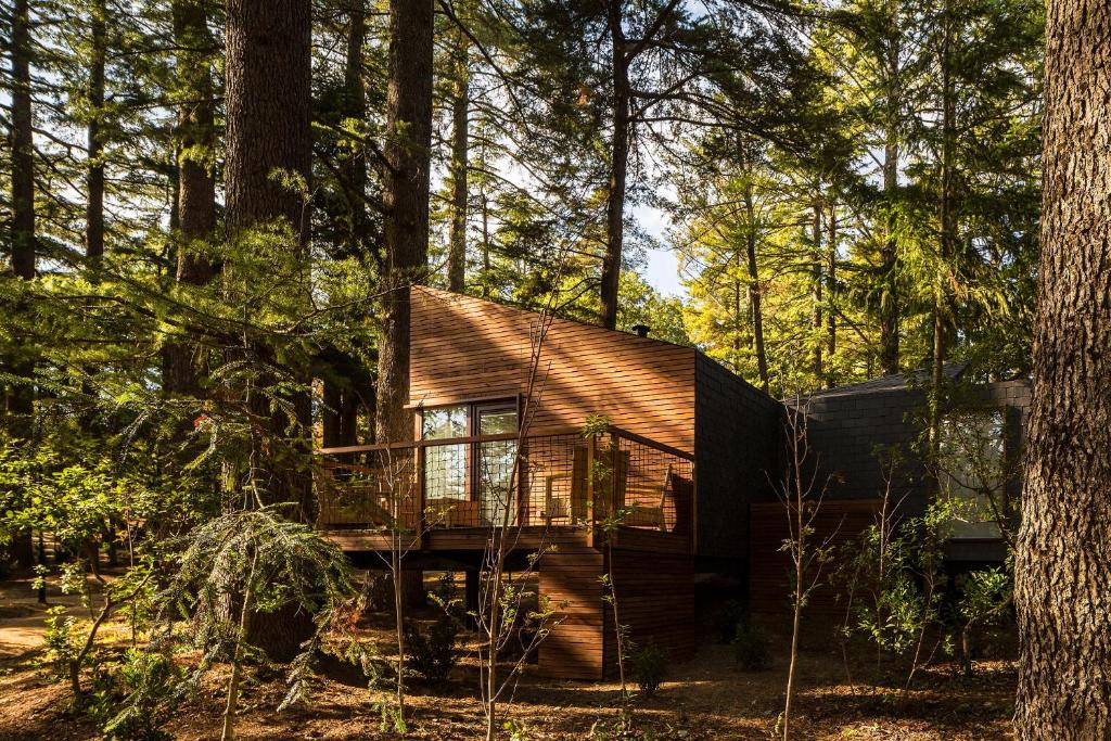 Pedras Salgadas Spa & Nature Park - Superior Bungalow