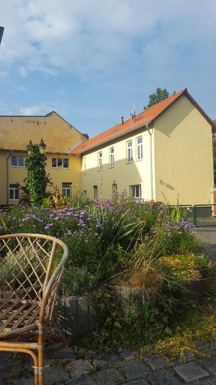 クヴェードリンブルクにあるFewo an der Bodeの紫の花の建物前のベンチ