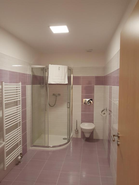 Koupelna v ubytování Rodinný wellness hotel U Langrů