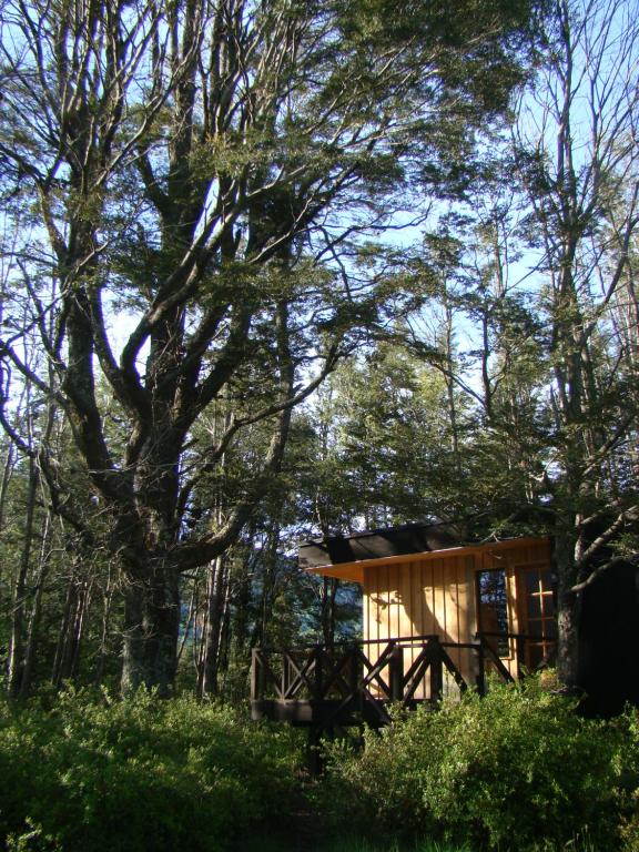 una casa en el árbol en medio del bosque en Lodge Punahue, en Choshuenco