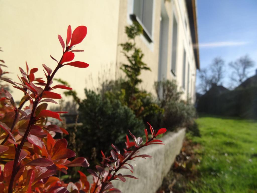 Zahrada ubytování U Nás - Apartmán Zajíc
