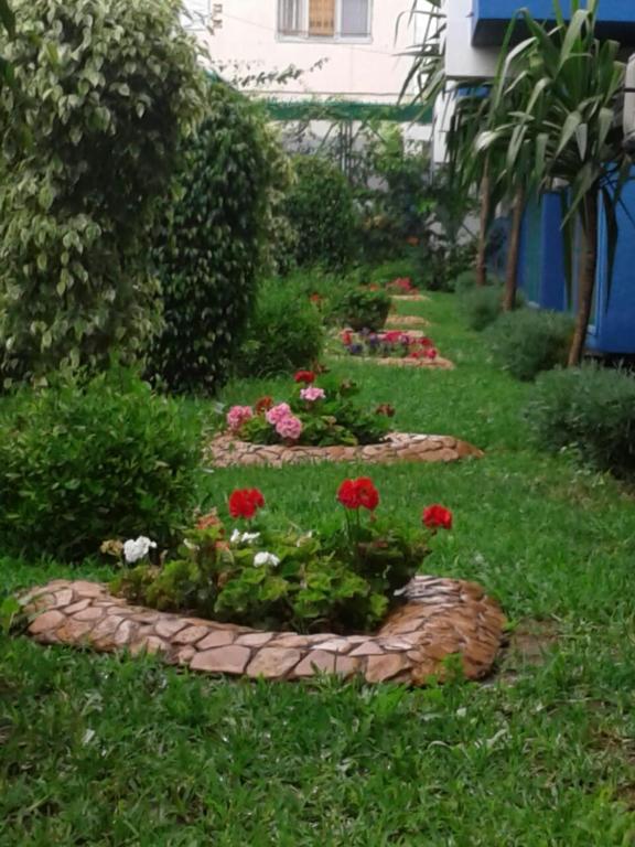 Zahrada ubytování Hotel Sindibad
