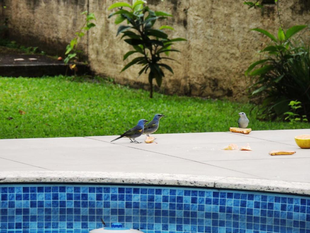  Casa Boutique Requinte e Aconchego