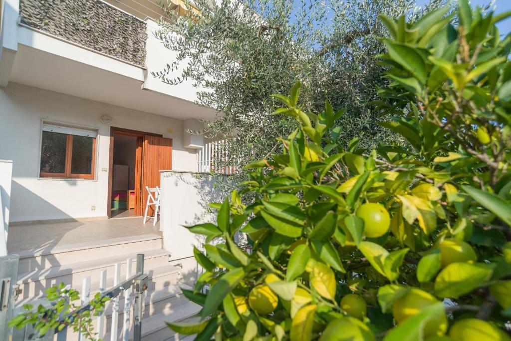 マッティナータにあるAppartamento Oleandroのレモンの木が目の前にある家