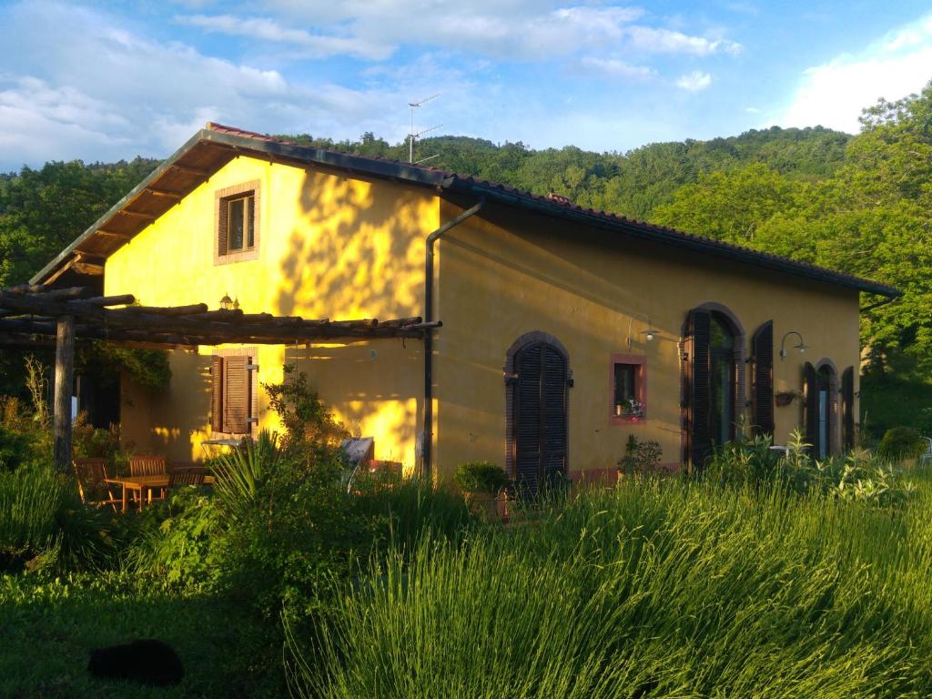 une maison jaune dans un champ d'herbe haute dans l'établissement Podere di Maggio - Casa della Nonna, à Santa Fiora