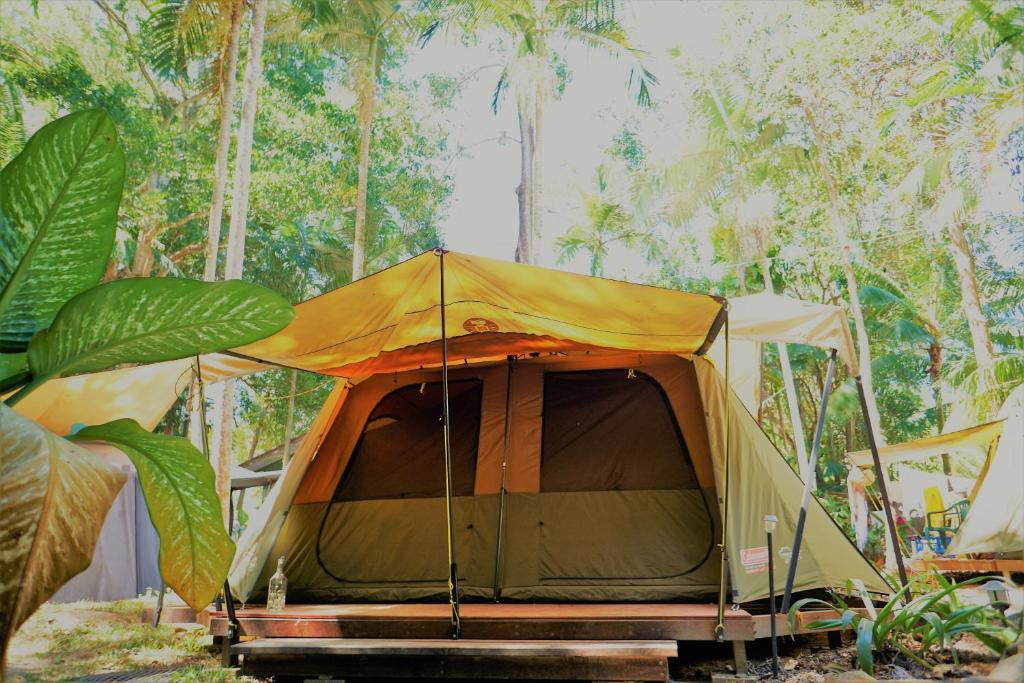 Fotografie z fotogalerie ubytování Dougies Backpackers Resort v destinaci Port Douglas