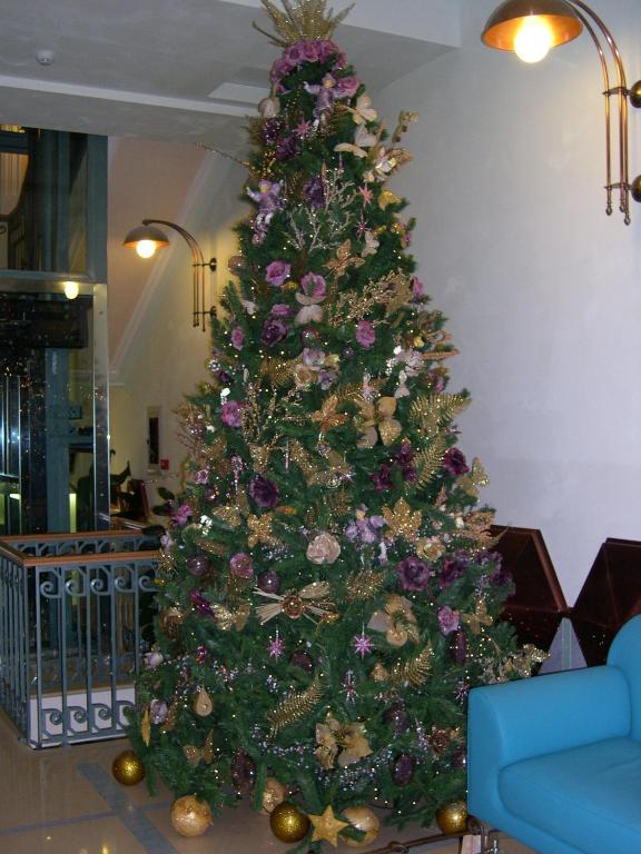 Hotel Eden - Resim 14