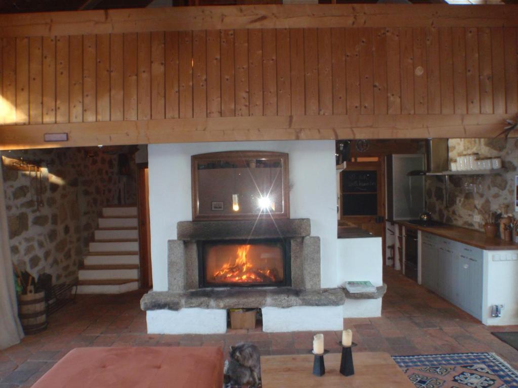 a fireplace in the middle of a living room at Gollitzalm in Harbach