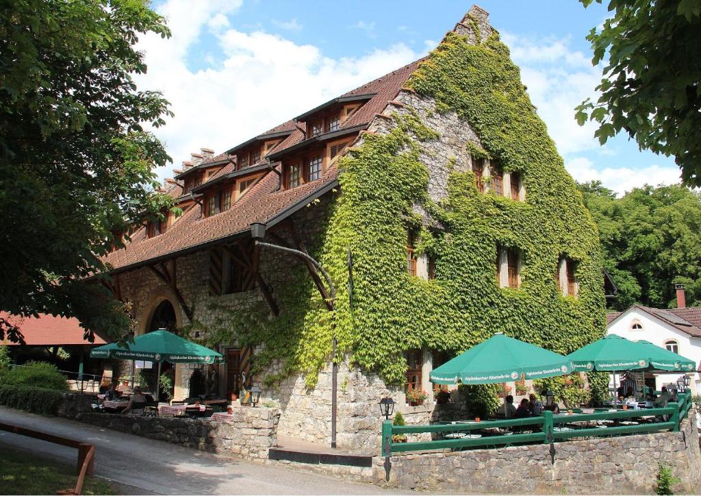 a building covered in ivy with tables and umbrellas at WASSERSTELZ Historisches Genusshotel & Restaurant am Rhein in Hohentengen