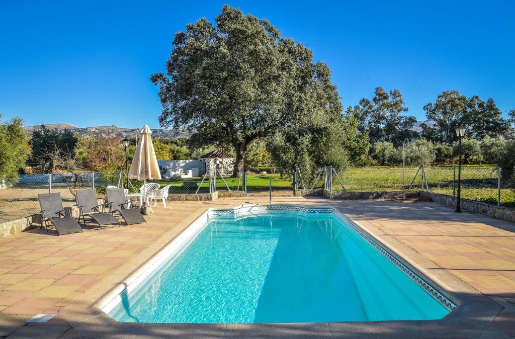basen z patio i drzewem w obiekcie Recreo San Andrés w mieście Ronda