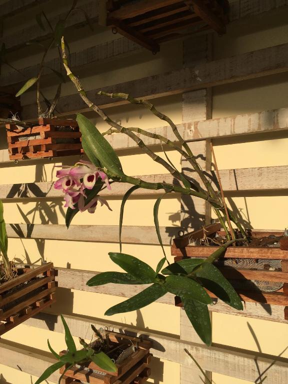  Pousada In Garden