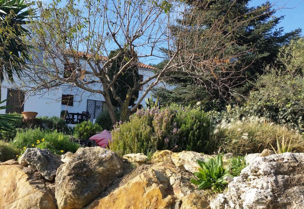 Vonkajšia záhrada v ubytovaní Finca Las Morenas