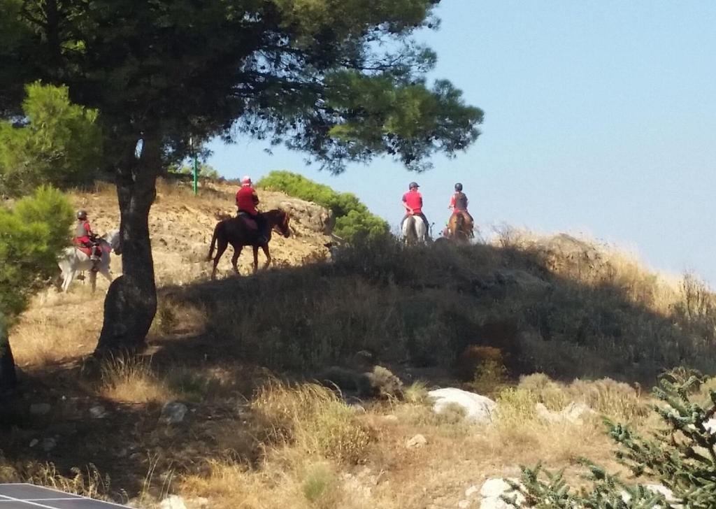 Hostia v ubytovaní Finca Las Morenas