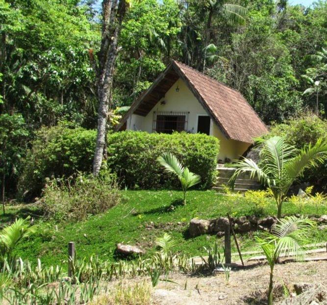 a small house in the middle of a forest at Waterfall Mountain in Monteiro Lobato