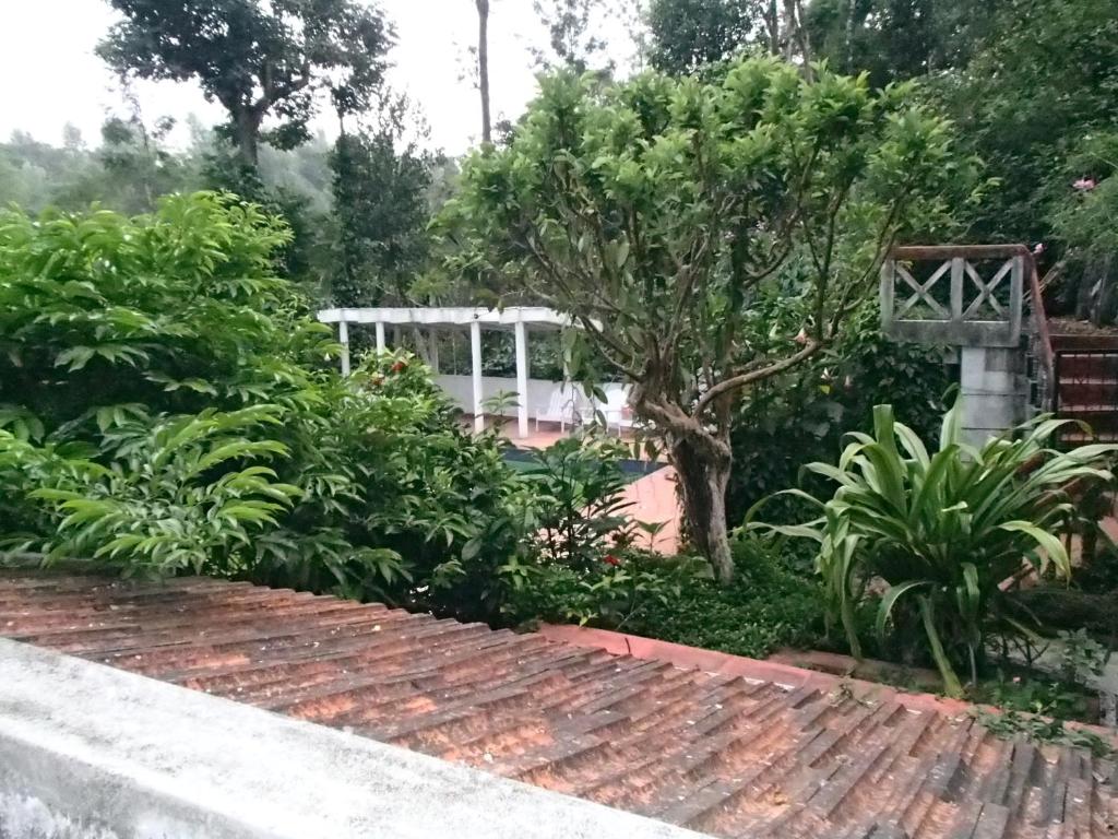 Zahrada ubytování Coorg 4 C's Little Paradise
