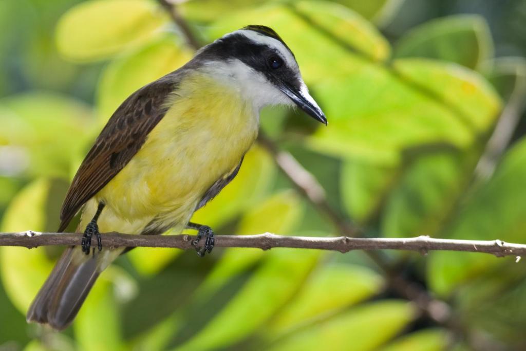  Vilangelim Eco-Pousada