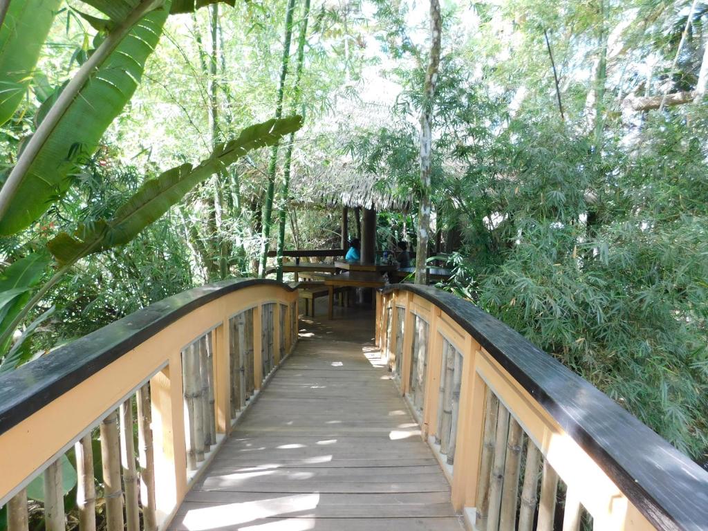 Fotografie z fotogalerie ubytování Rainforest Eco Lodge v destinaci Suva