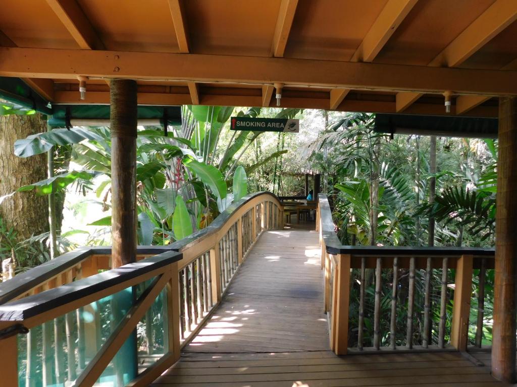 Balkón nebo terasa v ubytování Rainforest Eco Lodge