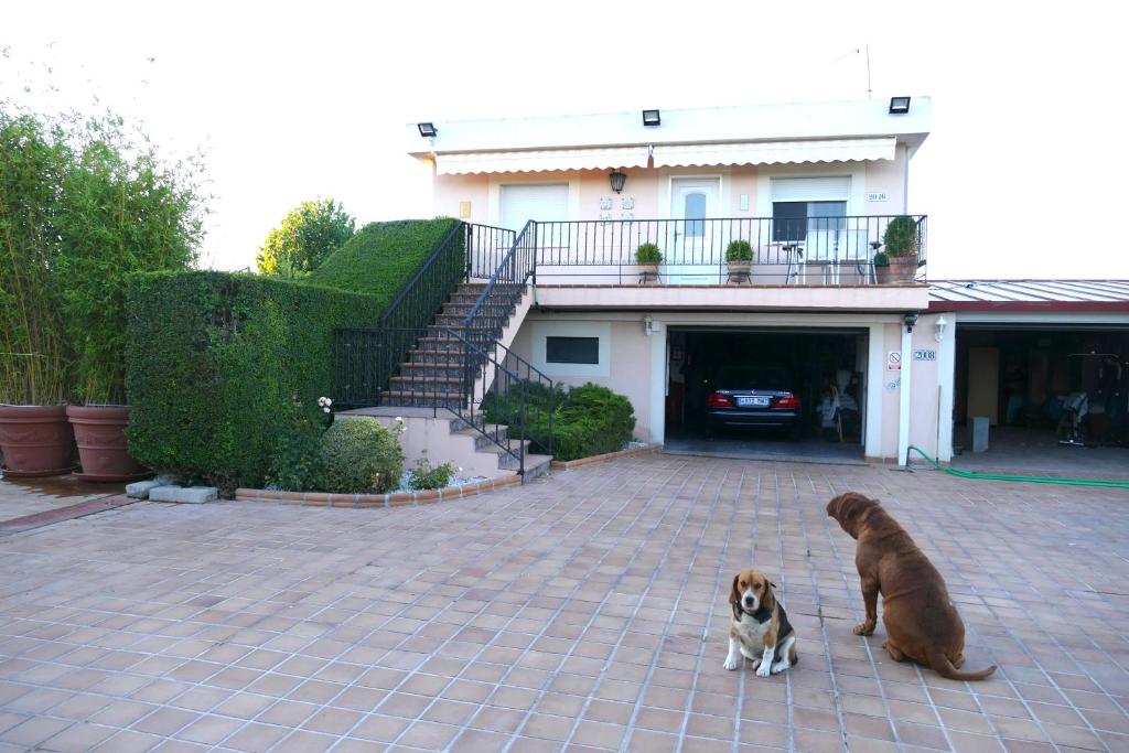 Due cani seduti di fronte a una casa di Villamercedes II a Villamayor