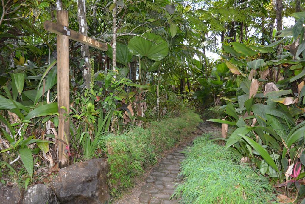 Zahrada ubytování Rainforest Eco Lodge