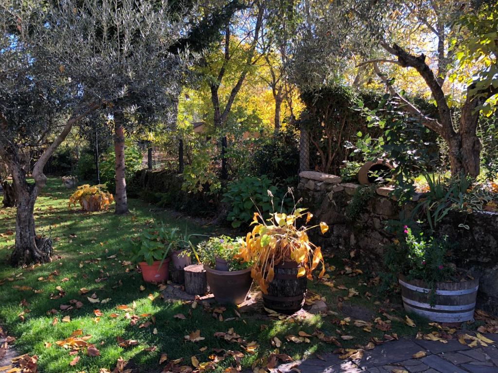 Casitas Del Huerto La Alberca Updated 2021 Prices