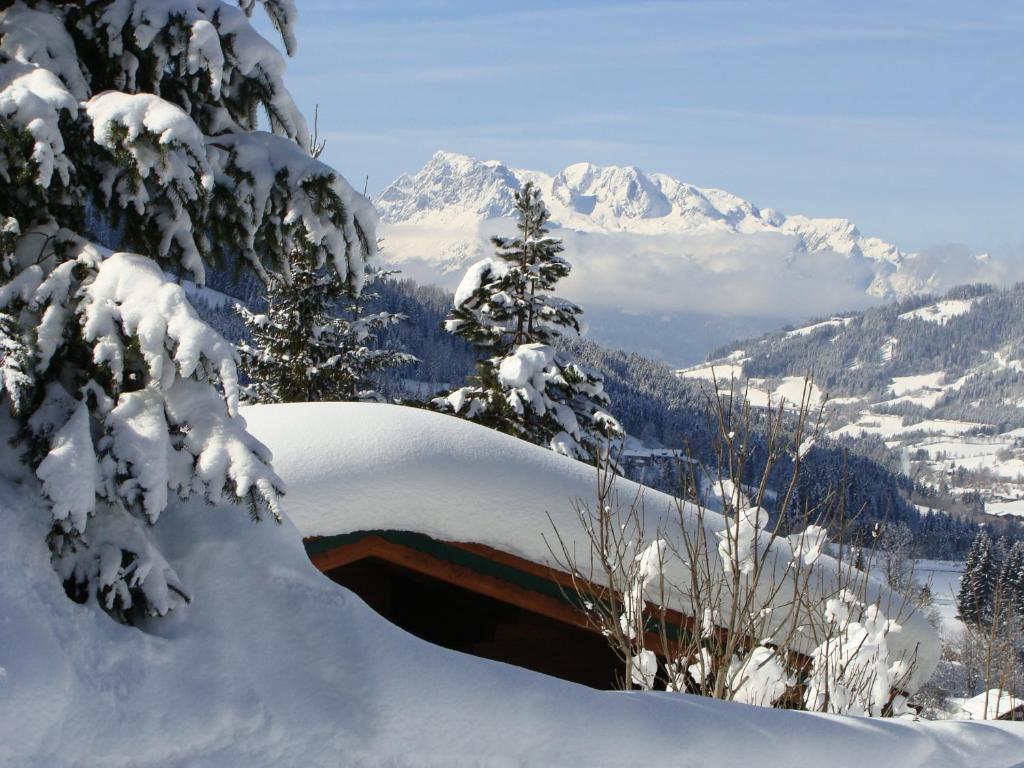 Chalets Ebner v zime