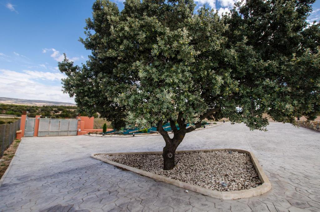Casa Rural El Coscojar, Teruel – Precios actualizados 2022
