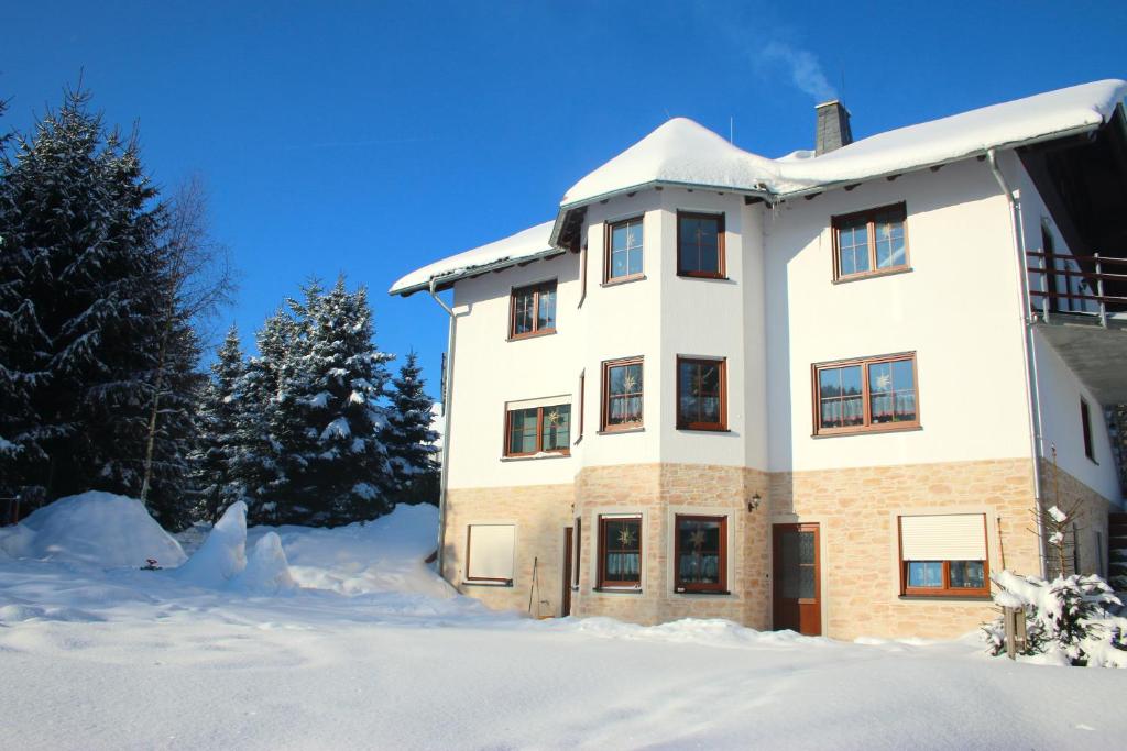 een gebouw bedekt met sneeuw met een boom bij Erzgebirgsferien in Olbernhau
