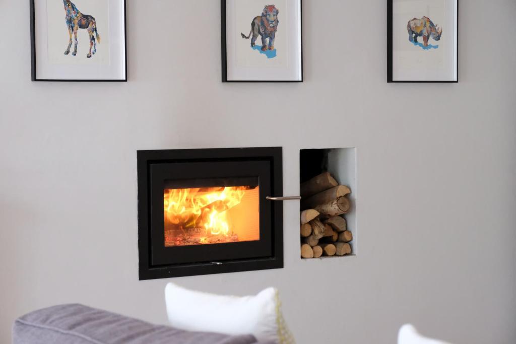 TV a/nebo společenská místnost v ubytování Vine Guesthouse