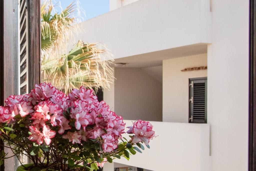Fotografie z fotogalerie ubytování Residence Scirocco e Tramontana v destinaci Favignana