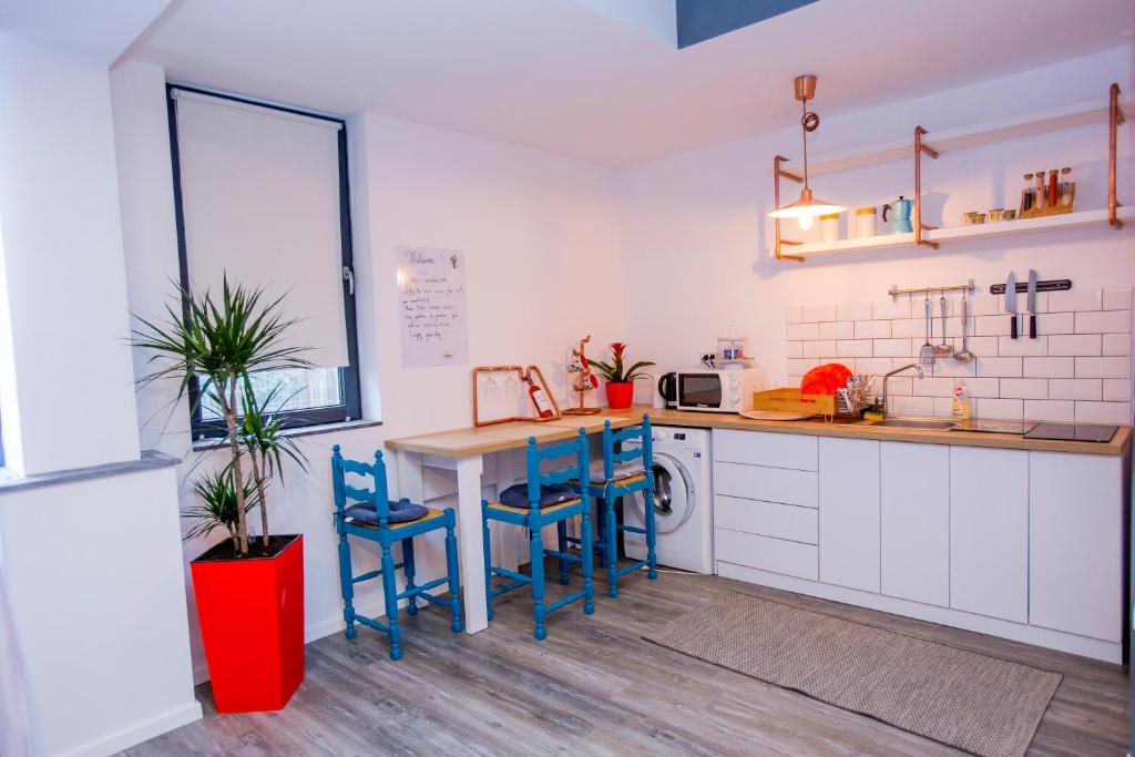 Teodoroiu nr. 5 - Resim 39