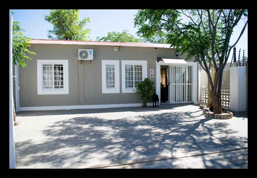 a dog is standing outside of a house at Bateleur Self Catering cc in Windhoek