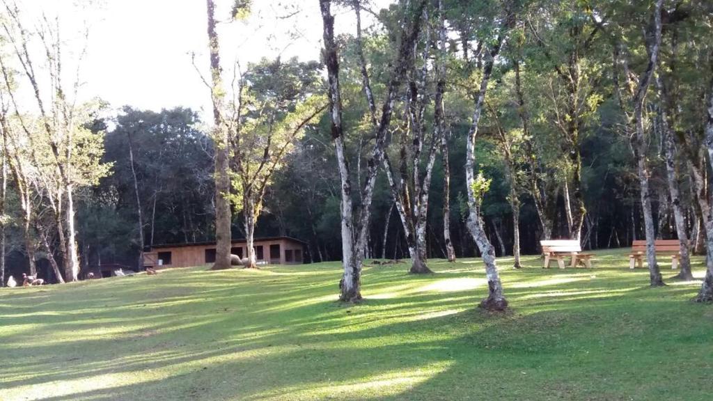  Magia das Hortênsias