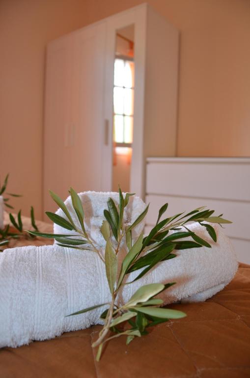 Fotografie z fotogalerie ubytování Villa Clementine v destinaci Gaios