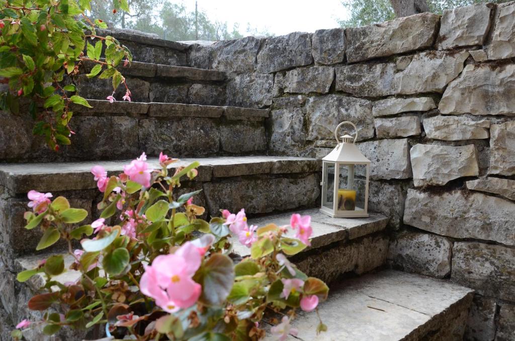 Zahrada ubytování Villa Clementine