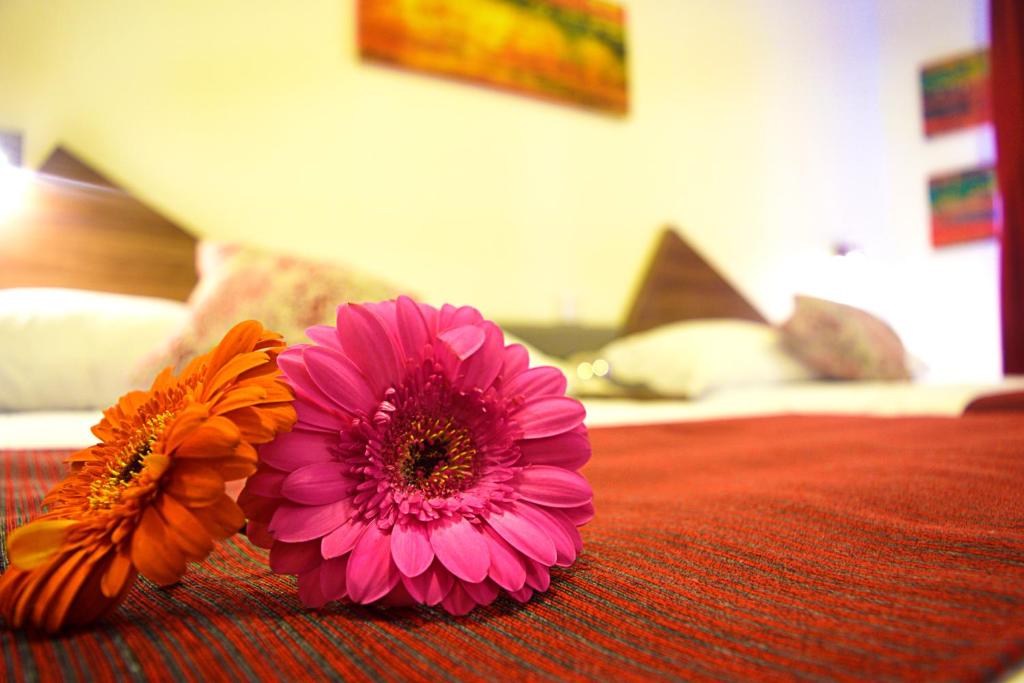 duas flores sentadas em cima de uma cama em Astro Inn Hotel Express em Xalapa