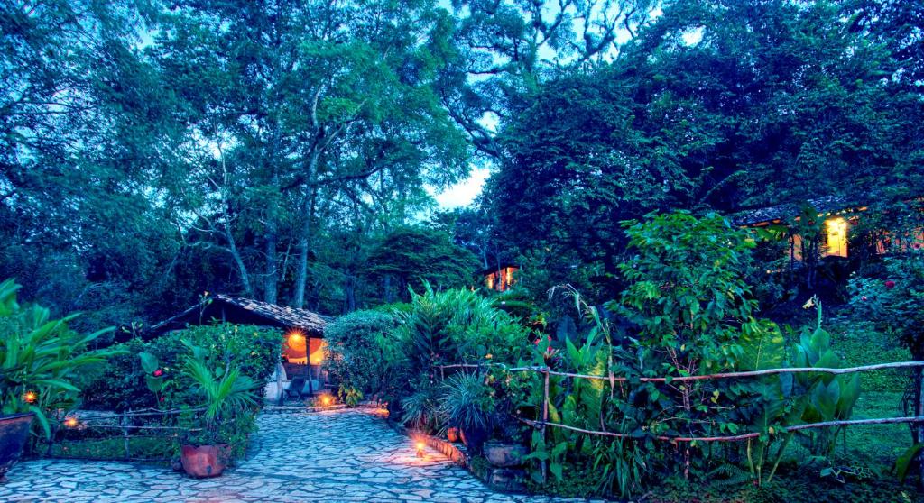 Zahrada ubytování Hotel Hacienda San Lucas