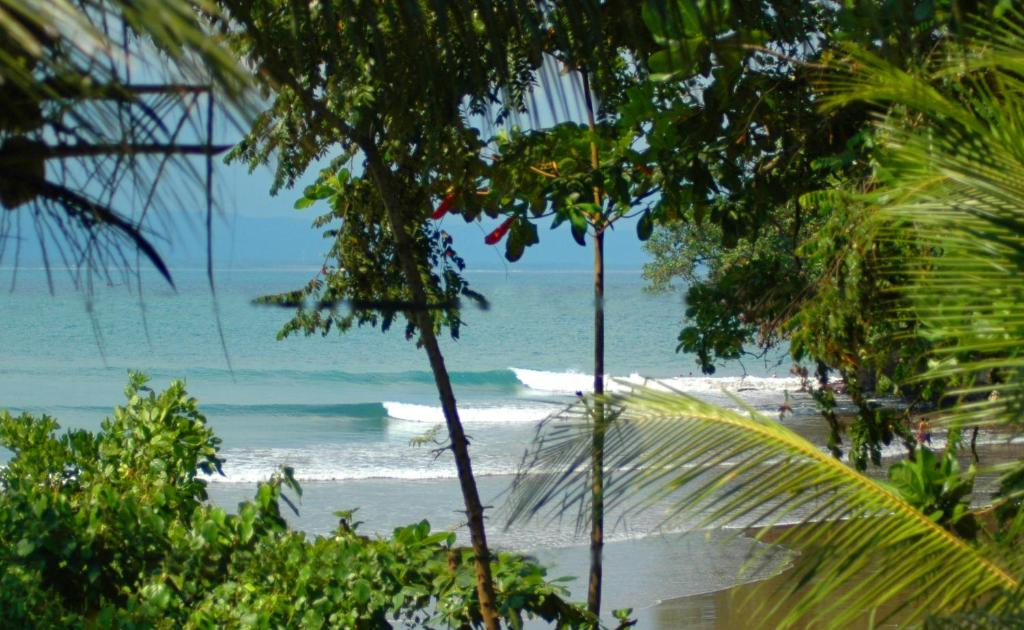 a view of a beach with waves in the ocean at JavaCove Beach Hotel in Batukaras
