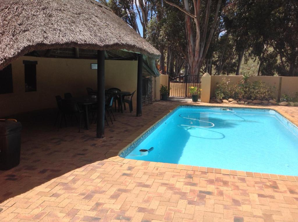 a large blue swimming pool with a thatch roof at Swaynekloof Farm in Botrivier