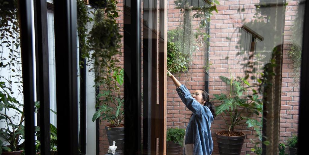 Family Tree Hotel - Resim 17